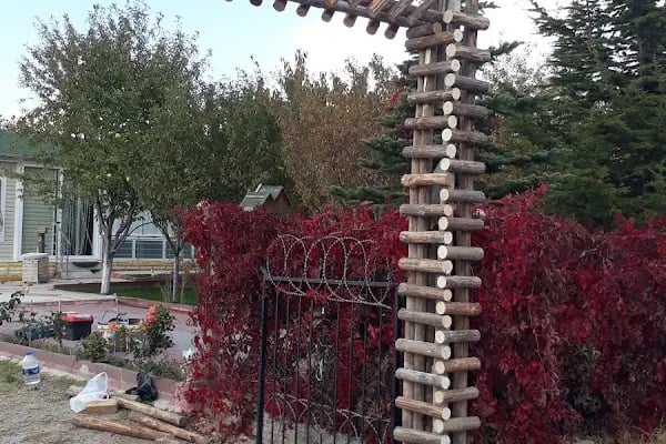 Atatürk Parkı - Resim 9