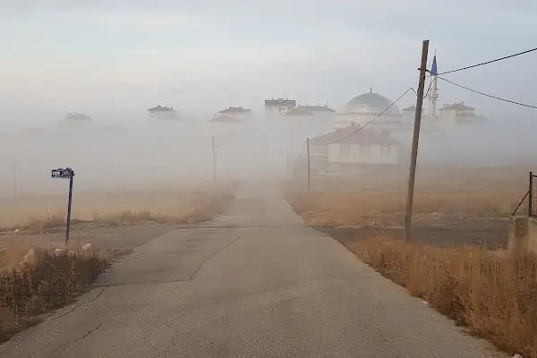 Atatürk Parkı - Resim 20