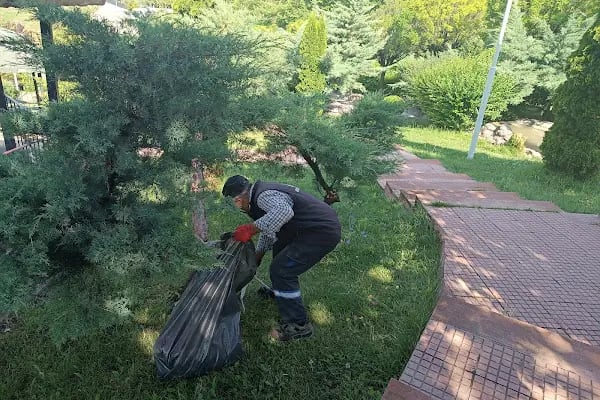 Atatürk Parkı - Resim 11