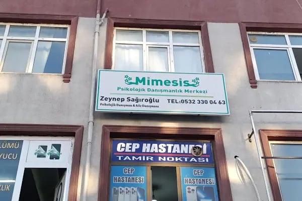 Mimesis Psikolojik Danışmanlık Merkezi - Resim 5