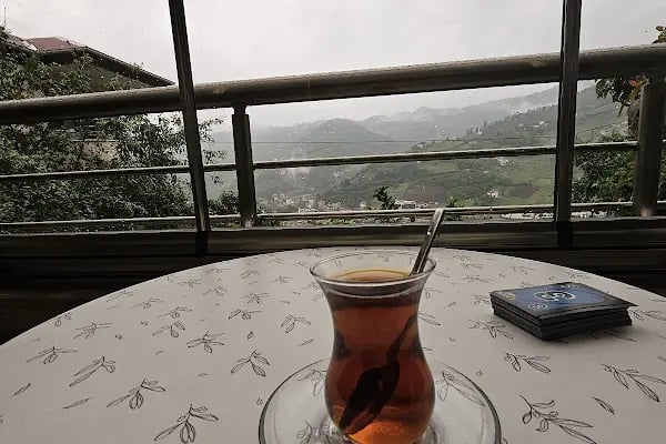 Vinland Villa Atalar - Resim 11