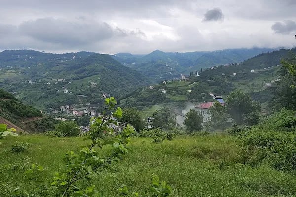 Vinland Villa Atalar - Resim 12