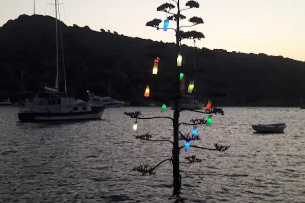 BatıBar - Resim 16