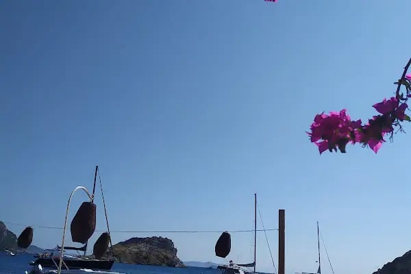 BatıBar - Resim 5