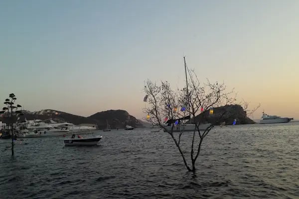 BatıBar - Resim 18