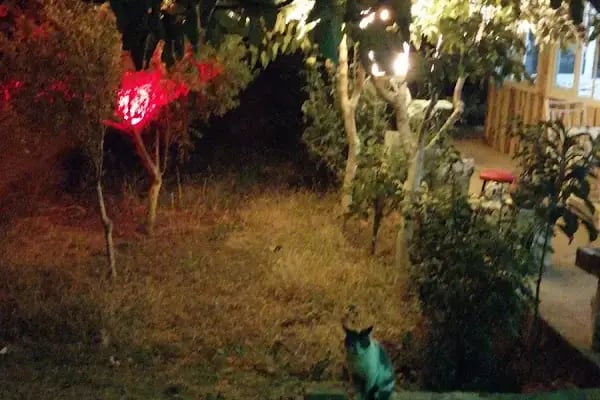 Vera Kır Kahvaltı İzmir - Resim 5