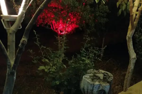 Vera Kır Kahvaltı İzmir - Resim 4