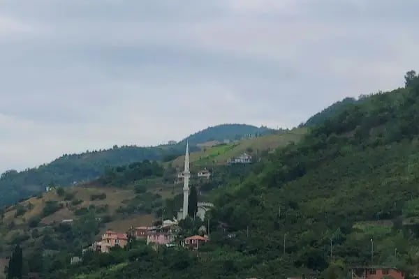 Alsancak Köyü Merkez Cami - Resim 2