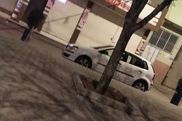 DİLAN ÇİÇEKÇİLİK - Resim 10