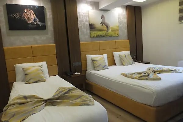Ankuva Hotel - Resim 4