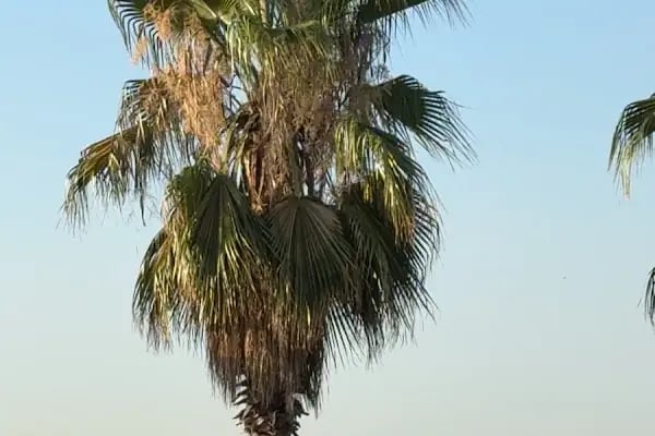 Koçal Çiftliği Kafe&amp;Restoran Yuvacık - Resim 9