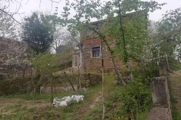 Armutalan Köy Konağı - Resim 6