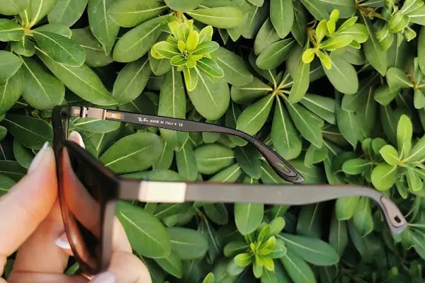 Sara Optik - Resim 5