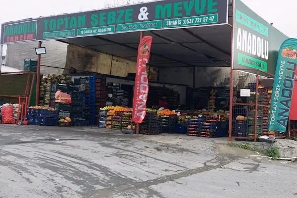 Anadolu Toptan Sebze Meyve Hali - Resim 6