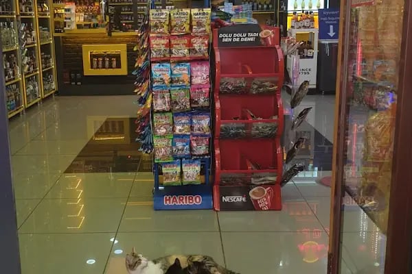 Martı Market Bornova Tekel Bayi 7/24 Gece Servis - Resim 18