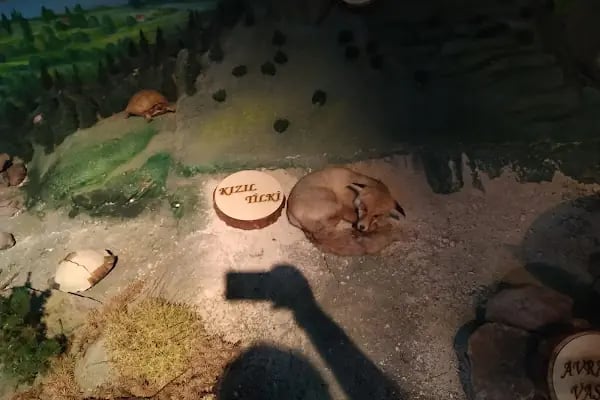 Çamlıdere Belediyesi Mehmet Ertürk Aile Parkı - Resim 16