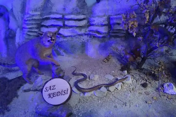 Çamlıdere Belediyesi Mehmet Ertürk Aile Parkı - Resim 20