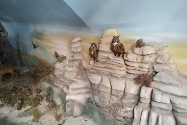 Çamlıdere Belediyesi Mehmet Ertürk Aile Parkı - Resim 17