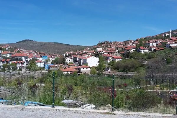 Çamlıdere Belediyesi Mehmet Ertürk Aile Parkı - Resim 1