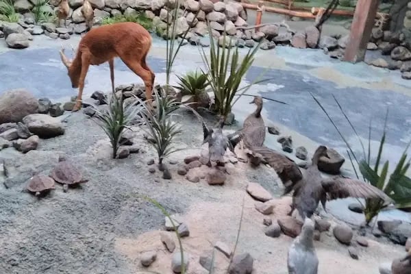 Çamlıdere Belediyesi Mehmet Ertürk Aile Parkı - Resim 5