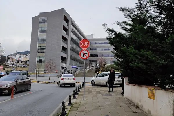 T.C İstanbul İl Göç İdaresi Müdürlüğü Pendik Kaymakamlığı - Resim 3