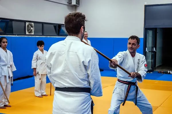 KOGESAS (Goshinkan Dojo) - Resim 5