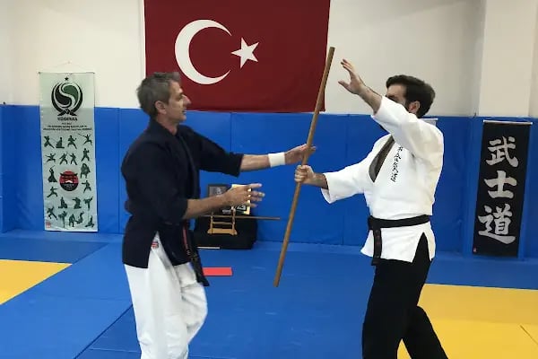 KOGESAS (Goshinkan Dojo) - Resim 4