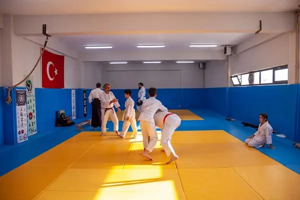 KOGESAS (Goshinkan Dojo) - Resim 3