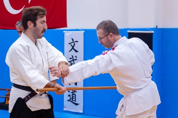 KOGESAS (Goshinkan Dojo) - Resim 15