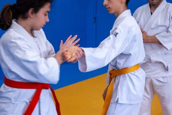 KOGESAS (Goshinkan Dojo) - Resim 19