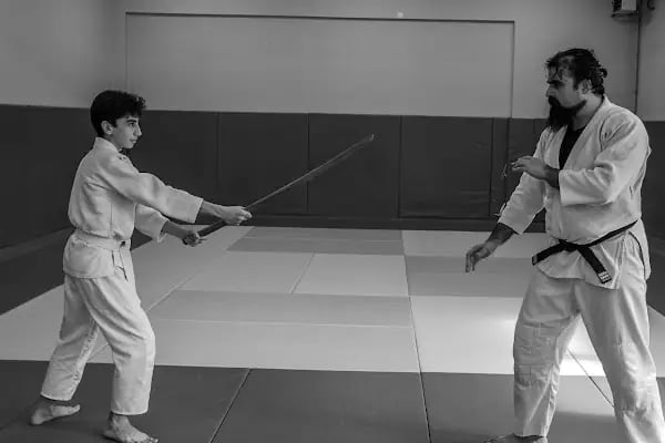 KOGESAS (Goshinkan Dojo) - Resim 20