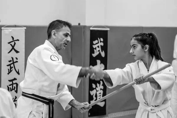 KOGESAS (Goshinkan Dojo) - Resim 18