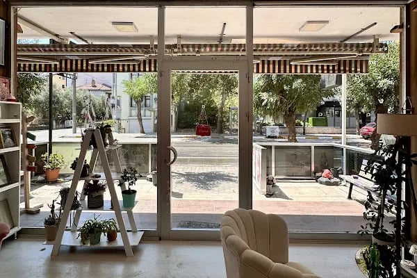 MirAşk Fotoğrafçılık - Resim 2
