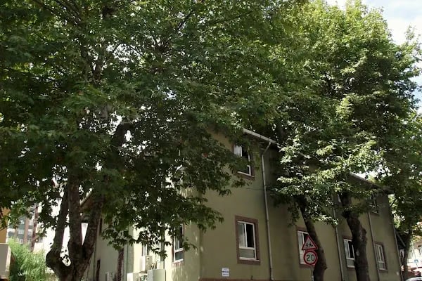 İçerenköy Merkez Camii - Resim 3