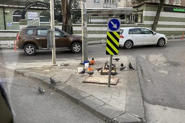 İçerenköy Merkez Camii - Resim 7