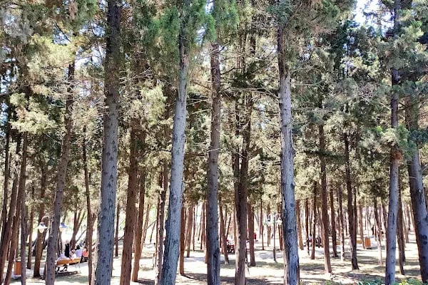 Kardeşlik Parkı - Resim 20