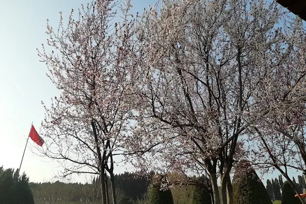 Kardeşlik Parkı - Resim 4