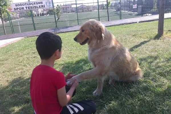 Kardeşlik Parkı - Resim 11