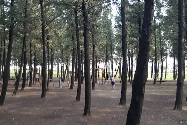Kardeşlik Parkı - Resim 17
