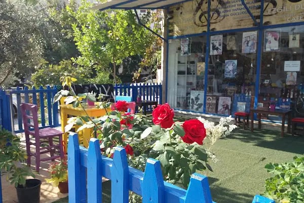 Ezgili Düşler Cafe / Çay Kahve Müzik Afiş Dergi Poster Plak Kadet Cd - Resim 14