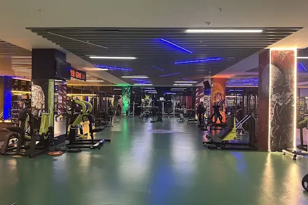 Stallion Gym &amp; Crossfit - Resim 7
