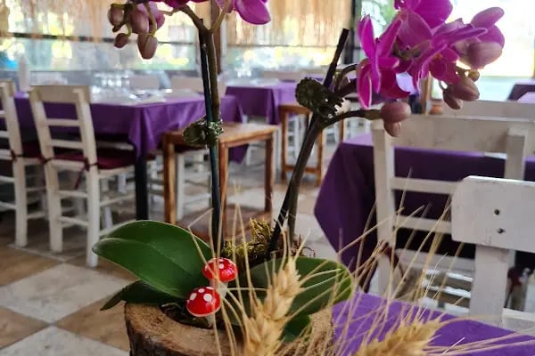 Fulya Restoran - Resim 6