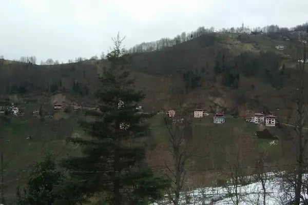 Ağaçlı - Resim 9