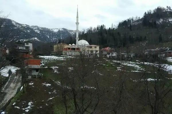 Ağaçlı - Resim 6