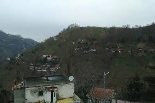 Ağaçlı - Resim 7
