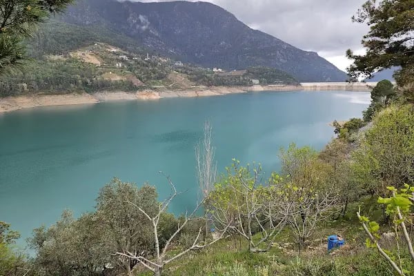 aloCar Rental - Resim 19