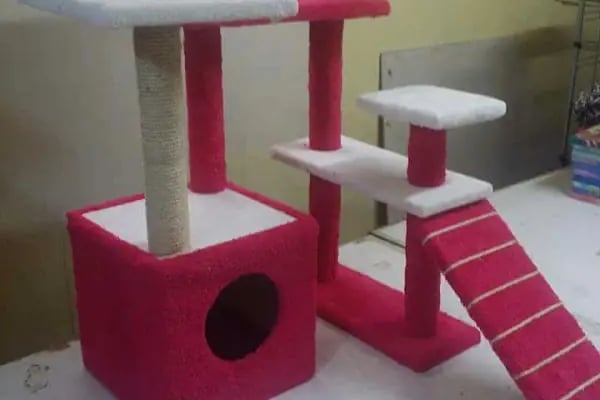 PET STATİON PET SHOP ,AKVARYUM,KEDİ KÖPEK MAMASI ERYAMAN,ALO MAMA - Resim 8