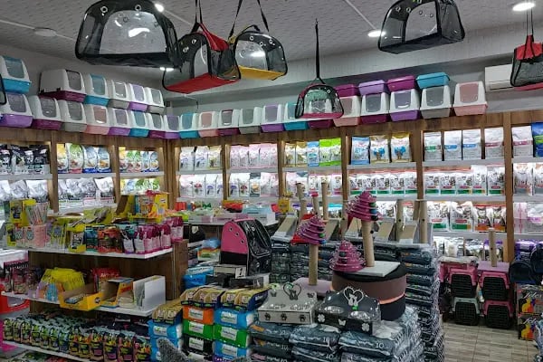 PET STATİON PET SHOP ,AKVARYUM,KEDİ KÖPEK MAMASI ERYAMAN,ALO MAMA - Resim 20
