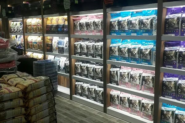 PET STATİON PET SHOP ,AKVARYUM,KEDİ KÖPEK MAMASI ERYAMAN,ALO MAMA - Resim 19
