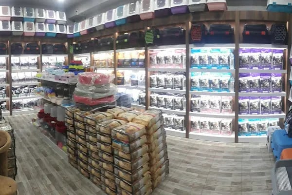 PET STATİON PET SHOP ,AKVARYUM,KEDİ KÖPEK MAMASI ERYAMAN,ALO MAMA - Resim 18